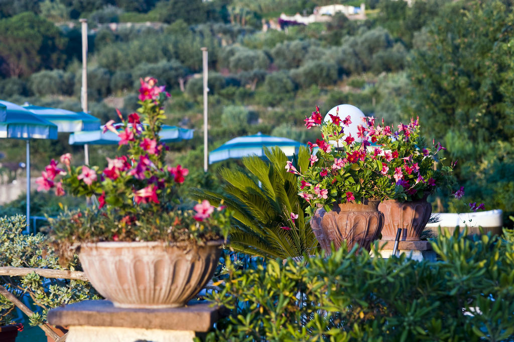 Hotel Poggio Del Sole Forio di Ischia Exterior foto